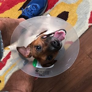 Meet your Posher, Gregory