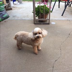 Meet your Posher, Cathy