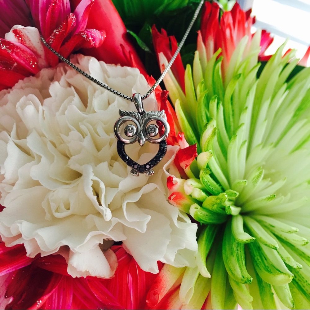 ZALES: 1/8 CT Black and White Owl