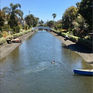 Meet your Posher, Bebe