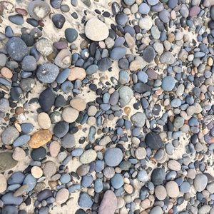 Meet your Posher, Ally