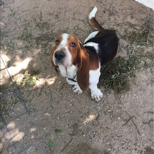 Meet your Posher, Sharon