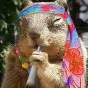 Meet your Posher, Debra