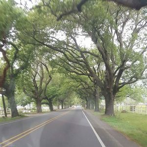 Meet your Posher, Gina n