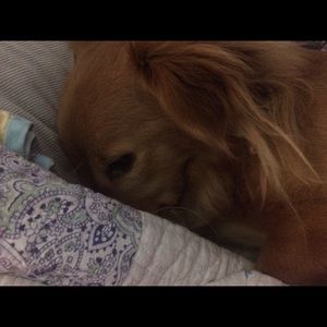 Meet your Posher, April