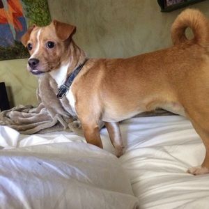 Meet your Posher, Kelly