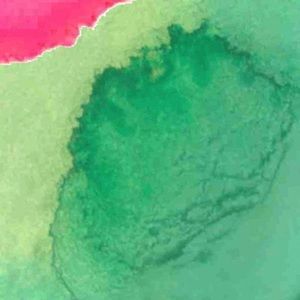 Meet your Posher, Matea