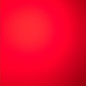 Meet your Posher, Leonardo