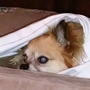 Meet your Posher, Debbie