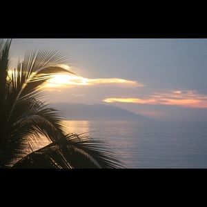 Meet your Posher, Brooklynn