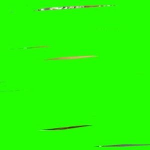 Meet your Posher, Lucas