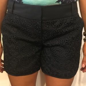 Navy Shorts