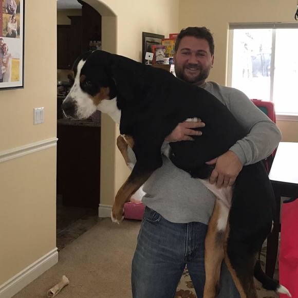 Meet your Posher, Jeremy - Picture 1 of 1