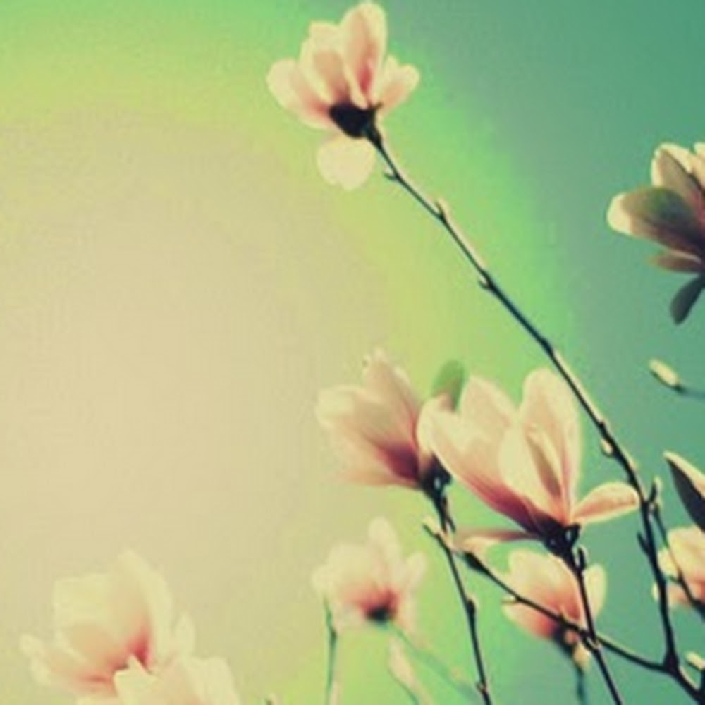 Meet your Posher, Sade