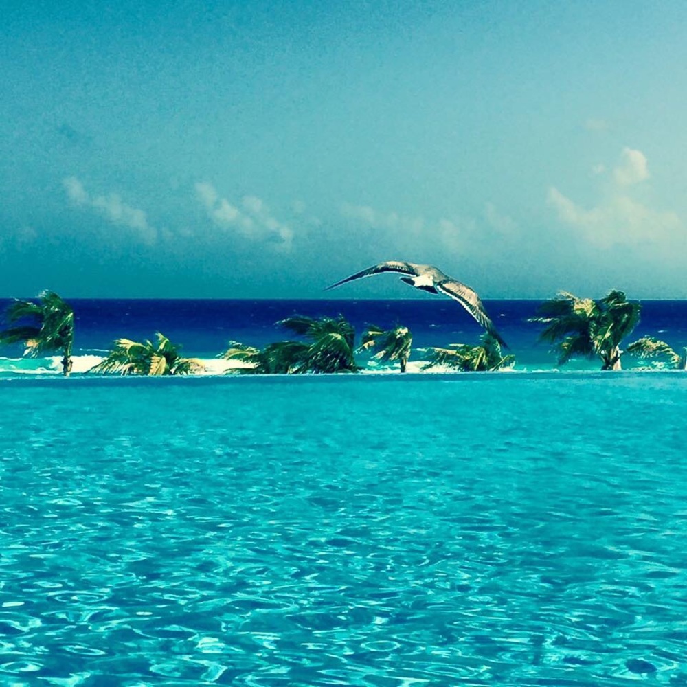 Meet your Posher, Tama