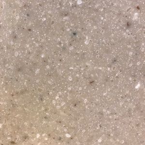 Meet your Posher, Kaitlin