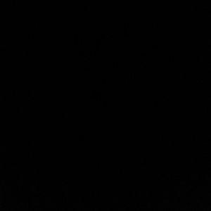 Meet your Posher, Brady