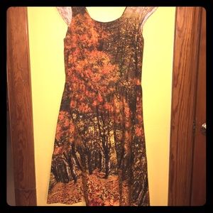 Perfect Fall Dress