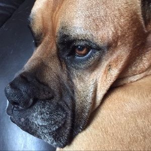 Meet your Posher, Jamie