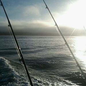 Meet your Posher, Shawn