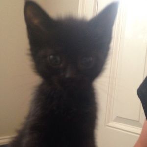 Meet your Posher, Isabel