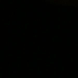 Meet your Posher, Bri