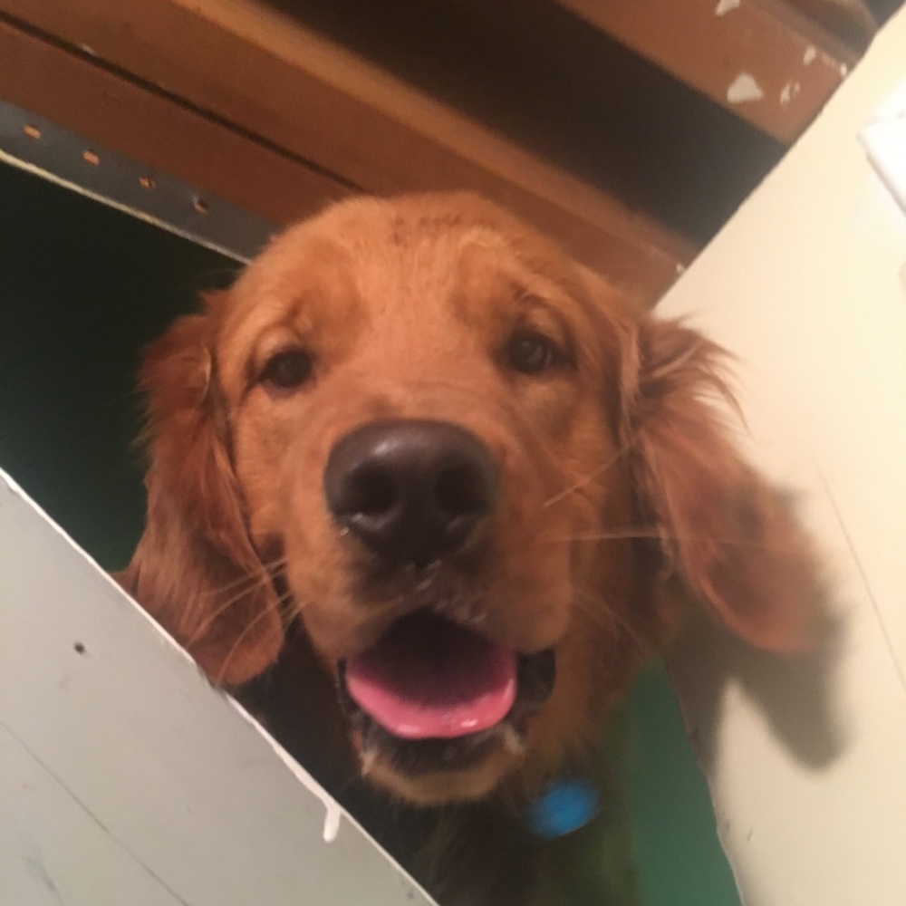 Meet your Posher, Eddie