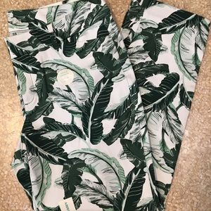 Old Navy Pixie - Ankle Length - 12 - palm pattern