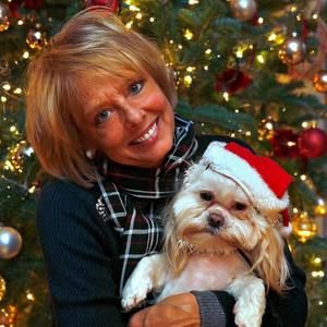 Meet your Posher, Jan