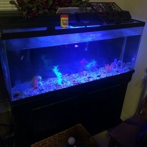 Meet your Posher, Jamesha