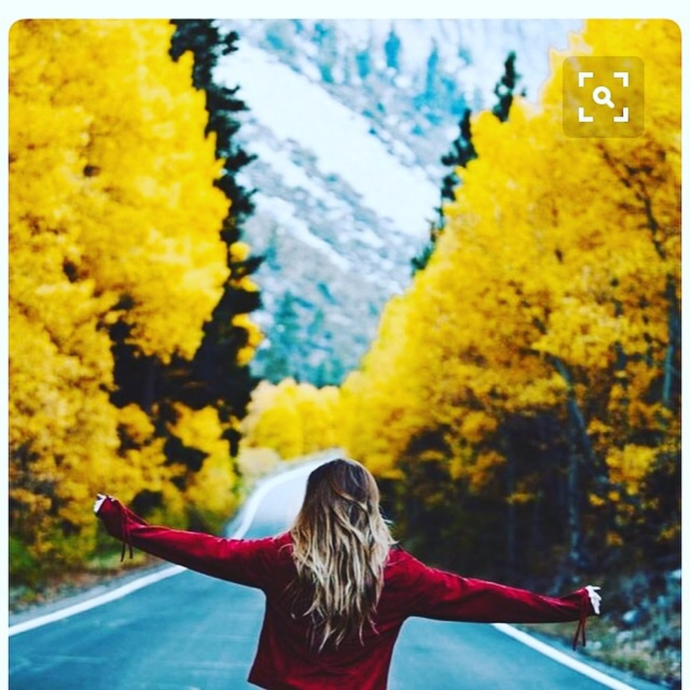 Meet your Posher, Madison