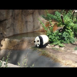 Meet your Posher, Jackie