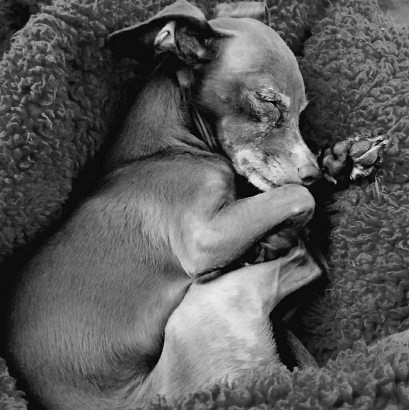 Meet your Posher, Derek - Picture 2 of 8