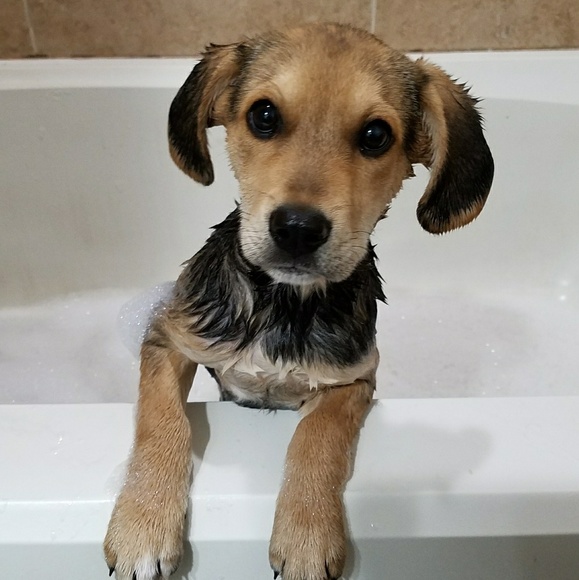 Meet your Posher, Derek - Picture 6 of 8