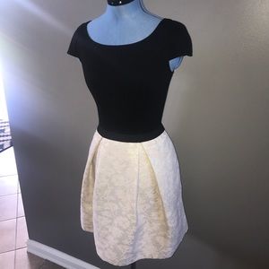 SUPER CUTE DRESS DESIGNER!! Worn once