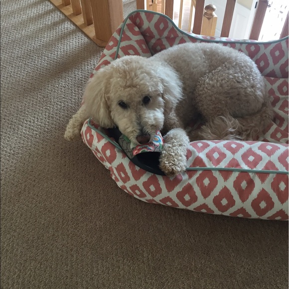 Meet your Posher, Renee - Picture 1 of 1