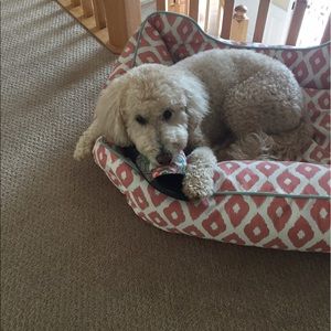 Meet your Posher, Renee