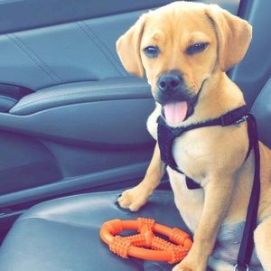 Meet your Posher, Kayla