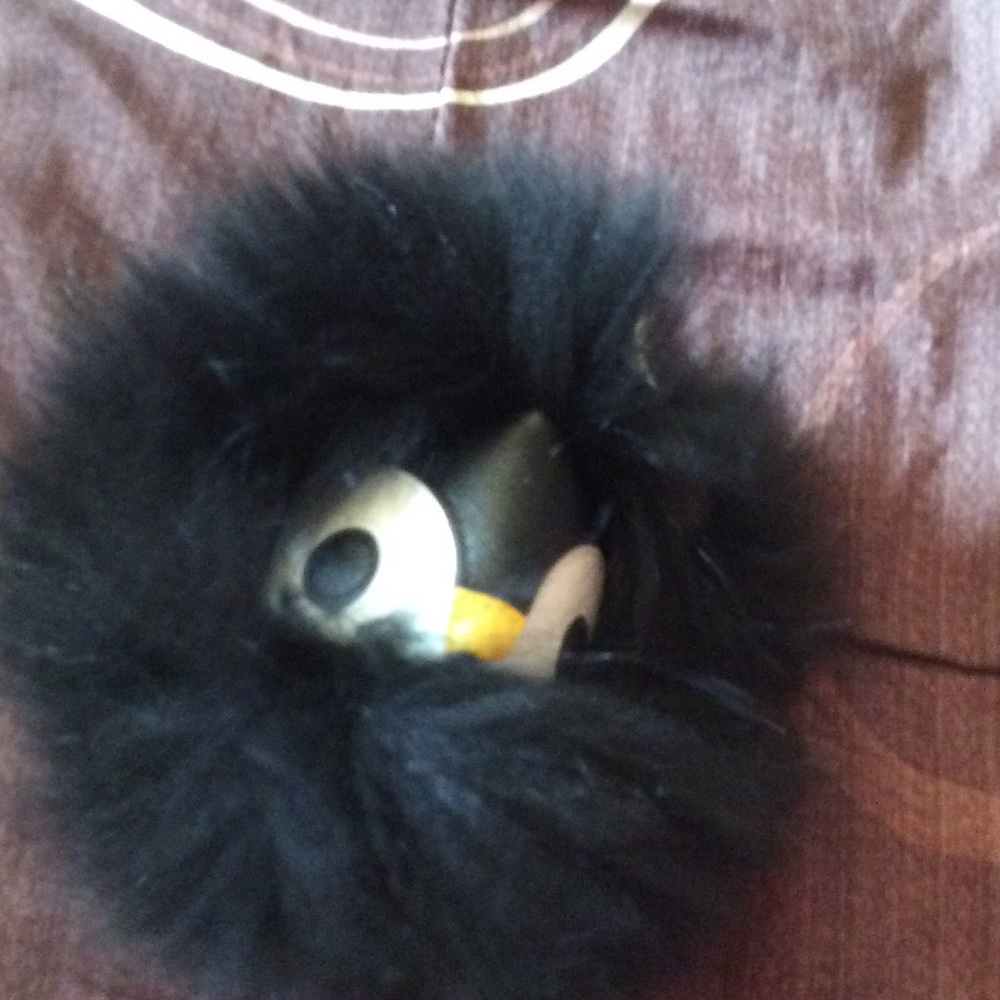 A black thick fox fur monster