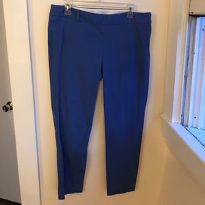 JCrew Blue Pants