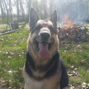 Meet your Posher, Mary ann