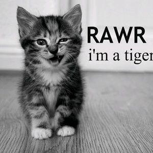 Meet your Posher, Gretchen