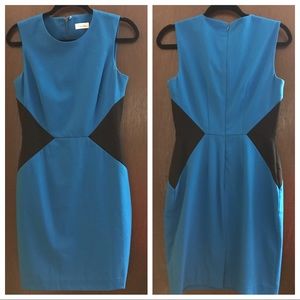 Calvin Klein Blue and Black Dress