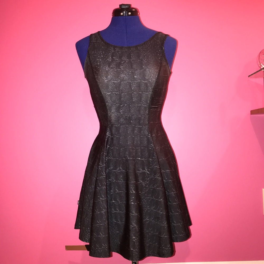 Zara Terez Skater dress