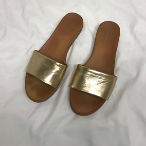 ALDO Gold slides