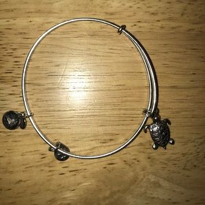 Sea turtle Alex and Ani