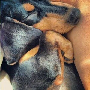 Meet your Posher, Danielle