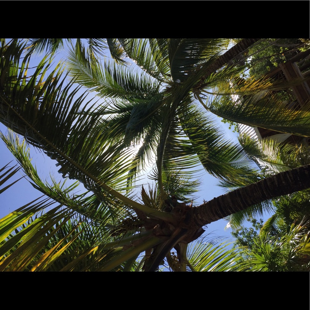 Meet your Posher, Catherine