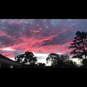 Meet your Posher, Nevaeh