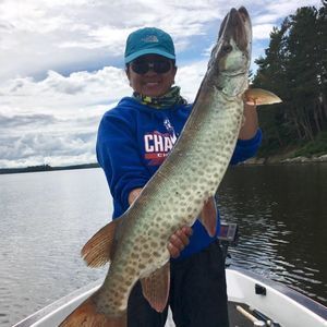 Meet your Posher, Marlene